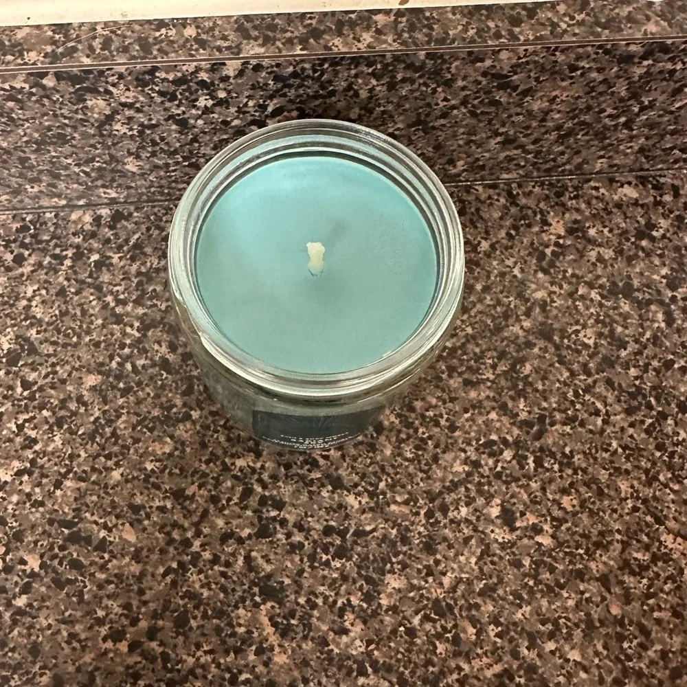 Bath and Body Works Single Wick Candle
